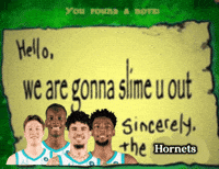 Charlotte Hornets GIF