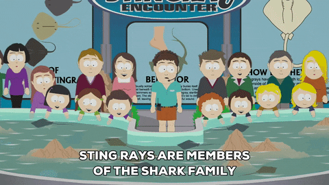 sting rays aquarium GIF by South Park 