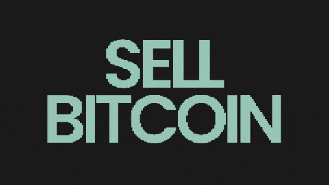 Crypto Bitcoin GIF by deflo