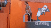 jim carrey alrighty then GIF by Ace Ventura
