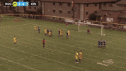 Soccer Roc GIF by rochesterlancers