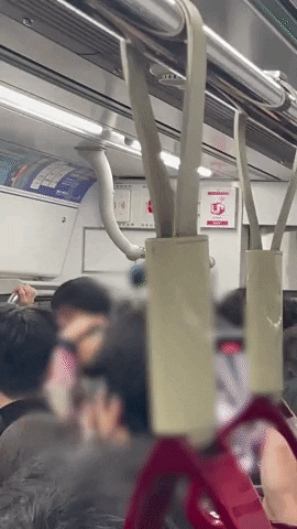 sosososo3989 giphyupload GIF