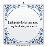 Humor Wijsheid GIF by Tegelspreuken.nl