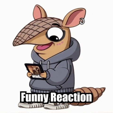 React Armadillo GIF by Chillo Dillo