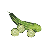 Cucumber Sticker by Evoolution