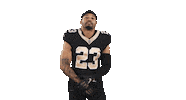 Football Sport Sticker by New Orleans Saints