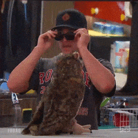see clearly big brother GIF by Big Brother After Dark