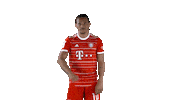 Sweating Leroy Sane Sticker by FC Bayern Munich