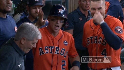 Houston Astros Baseball GIF by MLB