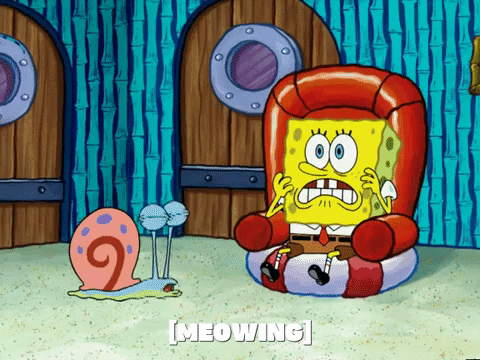 season 5 episode 13 GIF by SpongeBob SquarePants