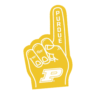 Purdue Sports Sun Sticker by Purdue University