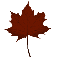 Herbst Sticker by KolibriDesign by Tamy