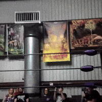 Head Scissors GIF