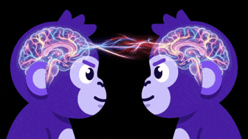 Brain To Brain GIF by Raena AI