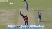 Shane Watson Ipl GIF