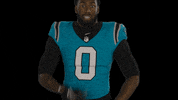 North Carolina Football GIF by Carolina Panthers