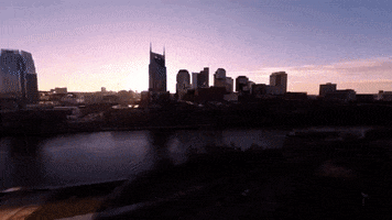tennessee GIF