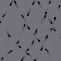 GIF by Jarleschean yema