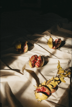Origo_S giphyupload skincare natural origo GIF