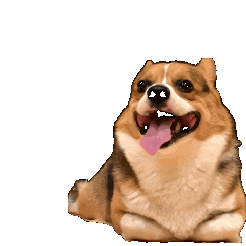 Dog Wow Sticker