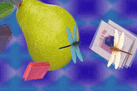 Books Fruits GIF by ROCAFUERTE THE DESTROYER