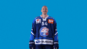 Baltisberger GIF by ZSC Lions