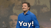 Snl GIF by Saturday Night Live