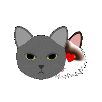 fluffybydesign love cat cats inlove Sticker