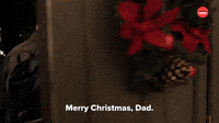 Merry Christmas Dad