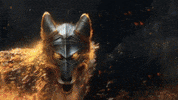 Fire Man GIF by systaime