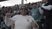 Lets Go Miami GIF by Dolfans NYC