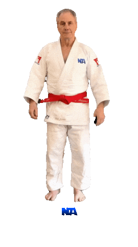 Martial Arts Judo Sticker by NA Effective Fighting