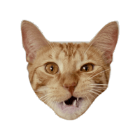 Mylesandspot Sticker