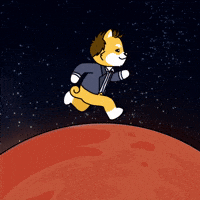 Red Planet Space GIF by Dogelon Mars