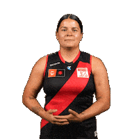 Football Sport Sticker by Essendon FC