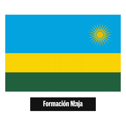 Flag Bandera Sticker by Formación Ninja