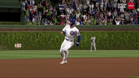 Chicago Cubs Smile GIF by TheDreamTeam 