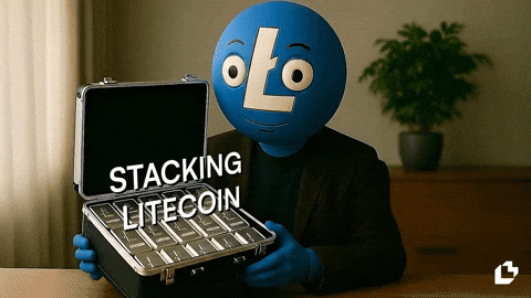 Money Stacking GIF by LitVM