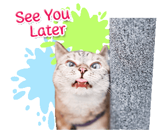 Cat Love Sticker