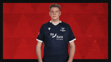 Karlsruher Sc Football GIF by Bundesliga