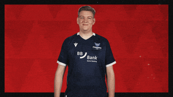 Karlsruher Sc Hello GIF by Bundesliga
