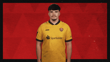 Dynamo Dresden Football GIF by Bundesliga