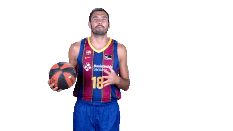 Fc Barcelona Basketball Sticker by ACB
