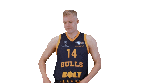 Sport Basketball Sticker by Basket_fi