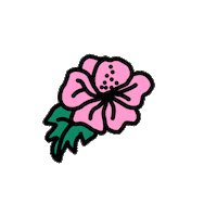 summer pink Sticker by Ivo Adventures