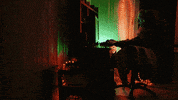 nrkp3 love alex luna peter GIF