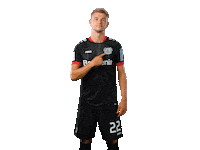 Bayer 04 Logo Sticker by Bayer 04 Leverkusen