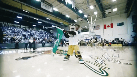 march madness rally GIF by University of Vermont