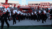 College Sports Mascots GIF by College Colors Day