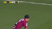 GIF by TD Más